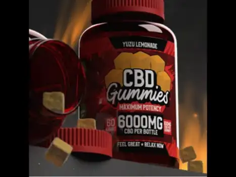 Can You Take Cbd Gummies Across State Lines Universitat De Barcelona